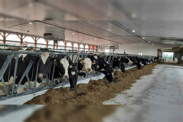 Northern Ontario milk producers honoured for quality