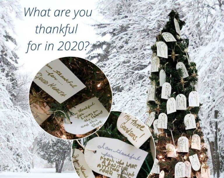 My Ol’ Blues ‘Thankful Tree’ a food bank fundraiser