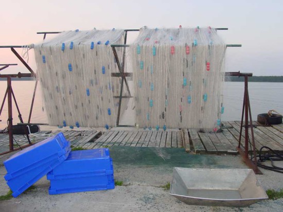 Purvis Fisheries voices strong concern with Ont. fishing agreement