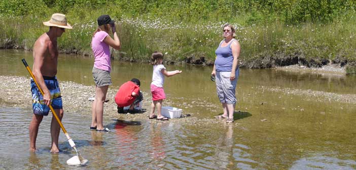 You’re on Manitoulin: find a fossil, groom a horse, bake some bannock, chart the stars!
