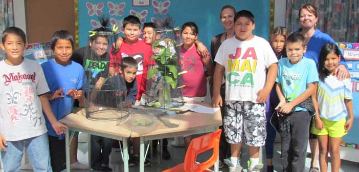Lakeview students do their part to aid in monarch conservation