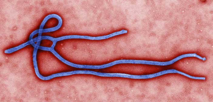 Canada Begins Ebola Vaccine Trial