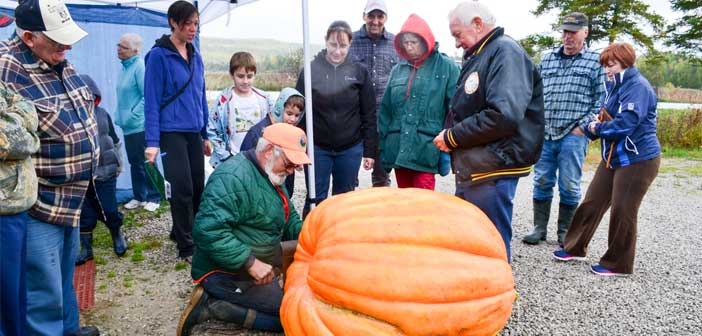 Allan Wilkin’s Atlantic giant wins annual Har-Cor pumpkin weigh-in