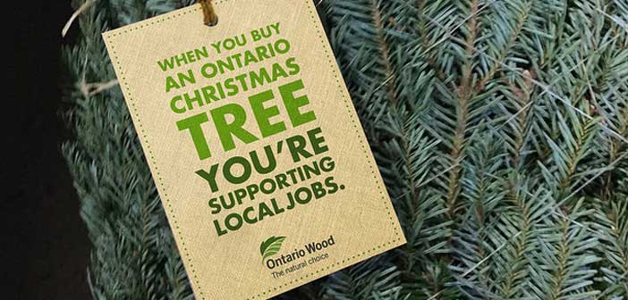 Choose an Ontario Wood Tree this Season