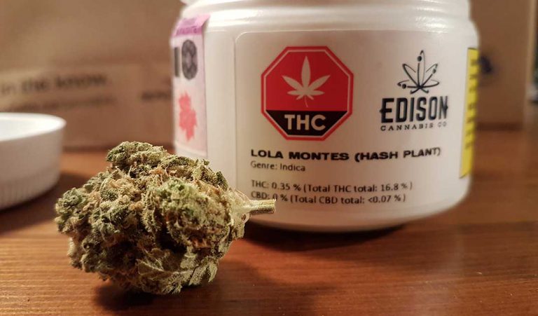 Tehkummah, Burpee-Mills opt in for cannabis retailing