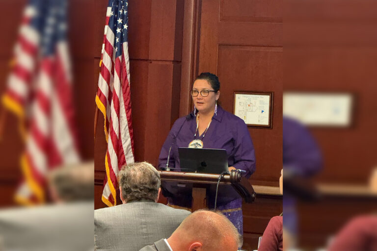 Chief Linda Debassige talks tariffs in Washington