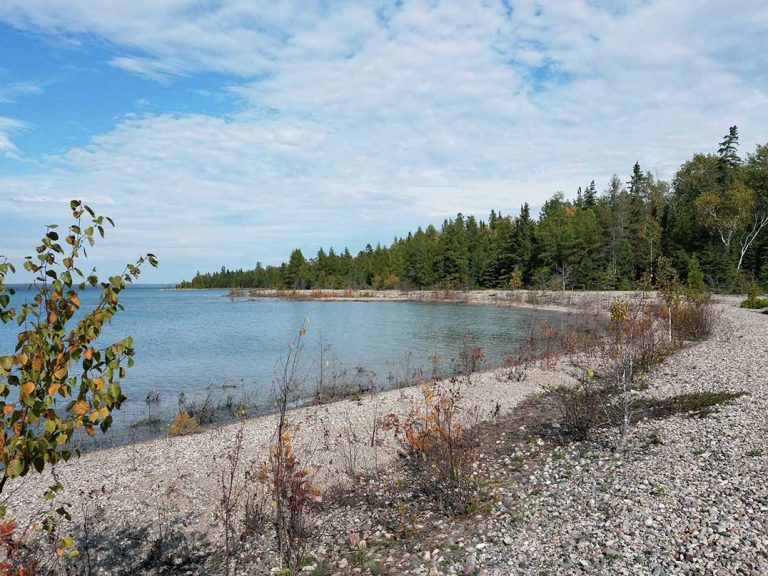Over 26,000 acres of Cockburn Island now protected by Nature Conservancy of Canada