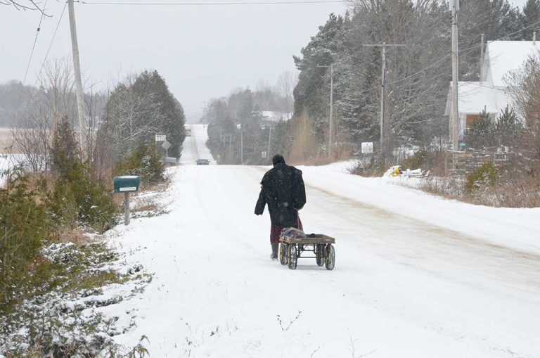 The Manitoulin Amish community does Christmas old school