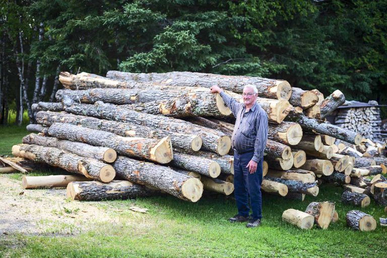 Octagenerian cuts his wood ‘just so’