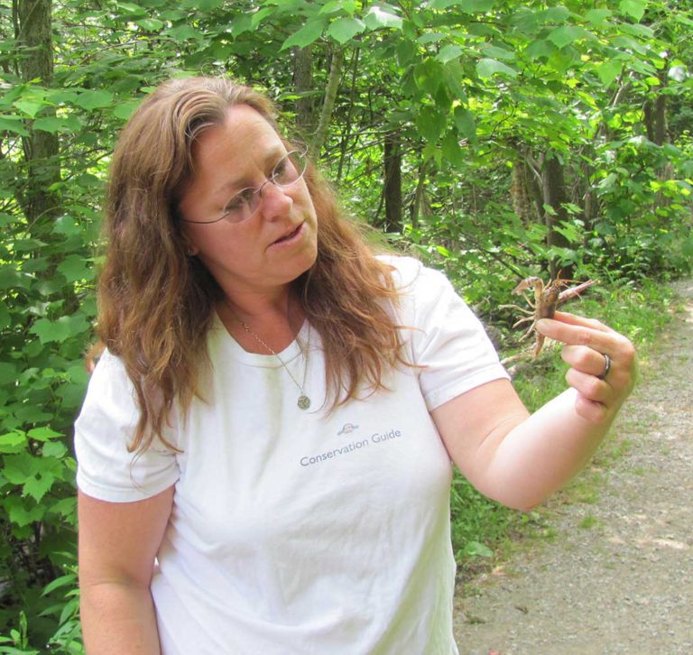 River School is in session, 4elements hosts kid and adult programs