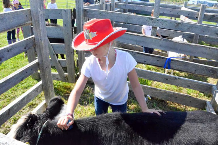 Manitoulin 4-H Farm Safety and Goat Clubs reflect on 2018