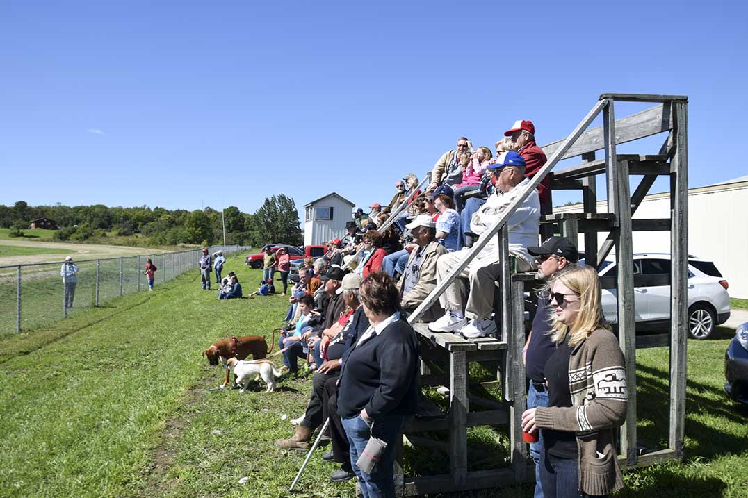 Assig-FF-horse-pull-crowd