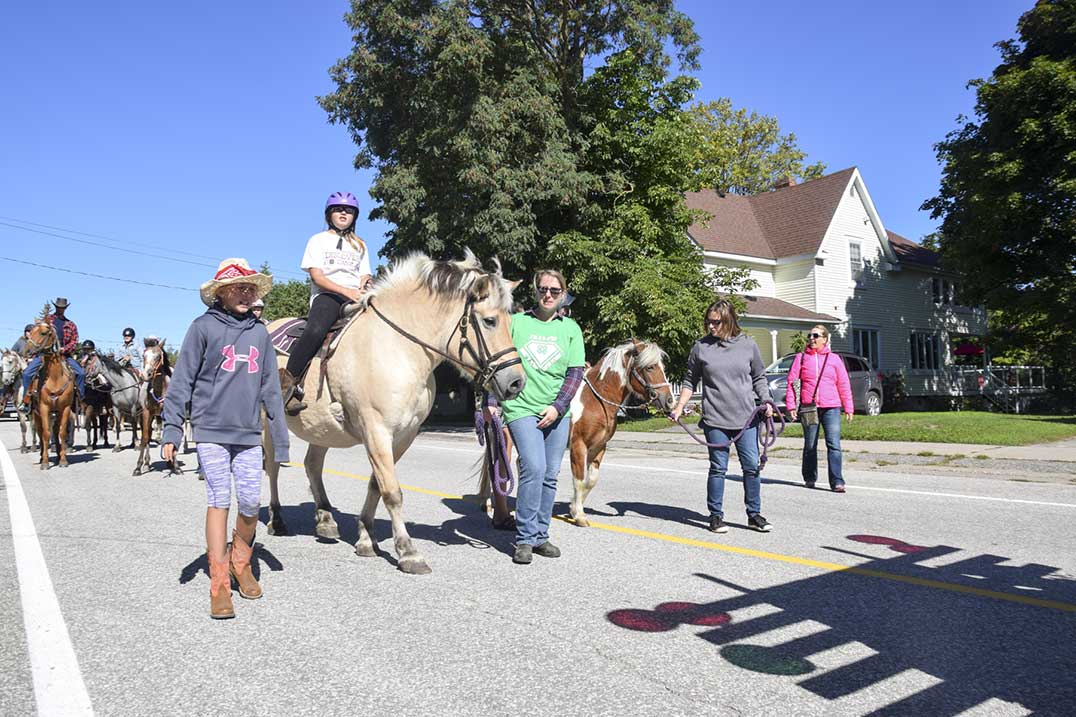 Assig-FF-parade-horses