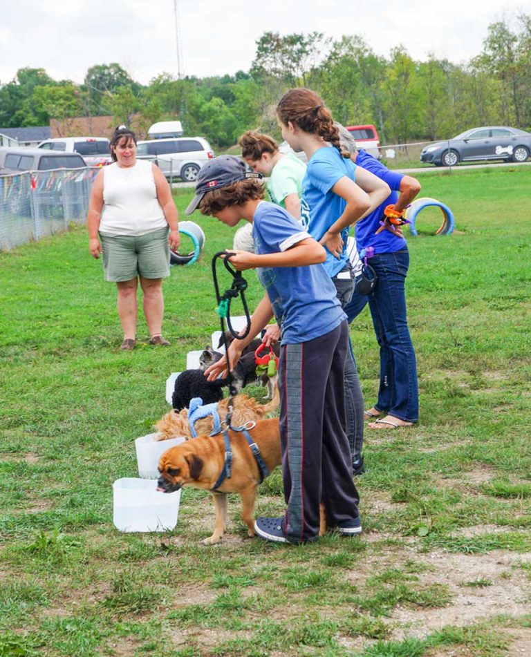 Kagawong Canine Social Club hosts dog park birthday party