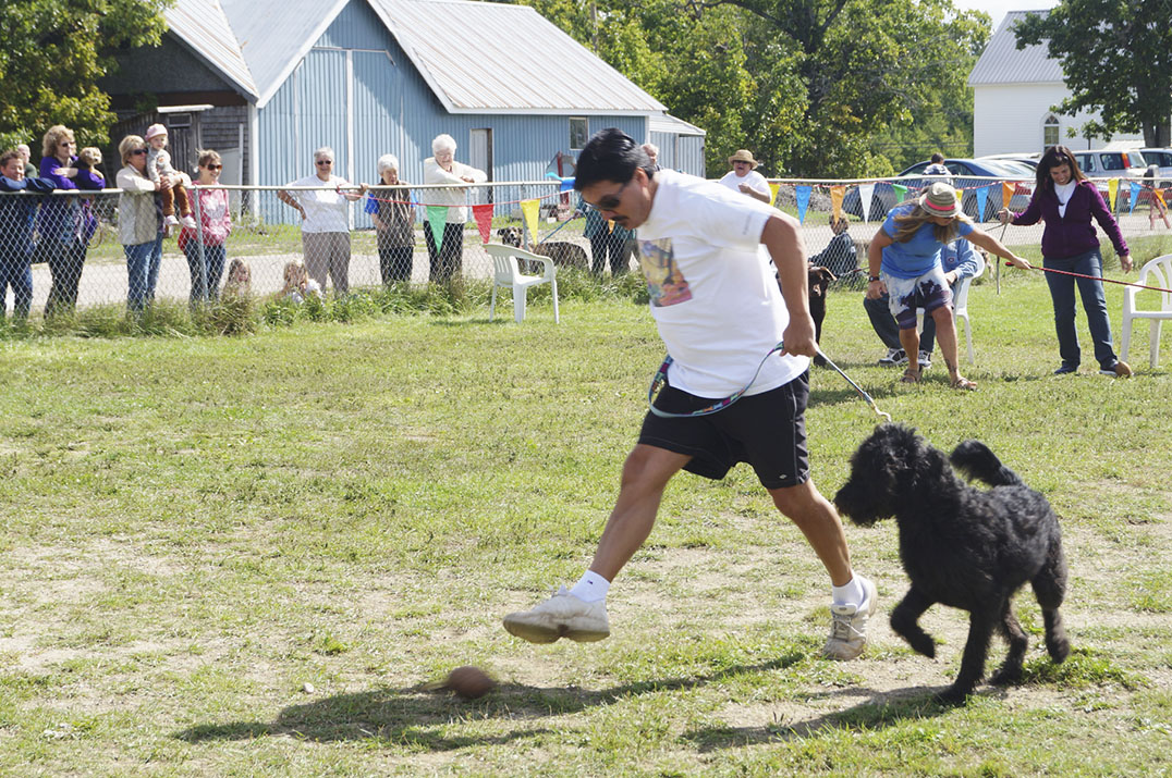Labradoodle Jackson and his human Jamie compete in the coconut relay taking the prize in the final heat. Fierce competition was given by Bear and Simba.