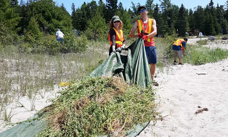 Beach Action Day at Providence Bay tidies the North’s longest sand beach