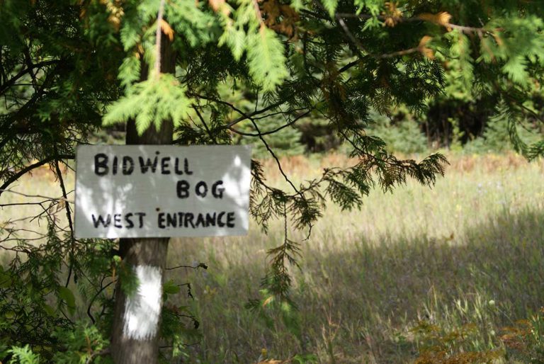 Island bogs important defences to ravages of climate change