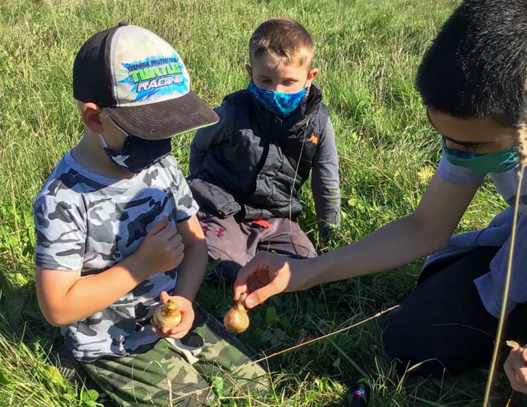Students at Central Manitoulin Public School plant 400 flower bulbs 