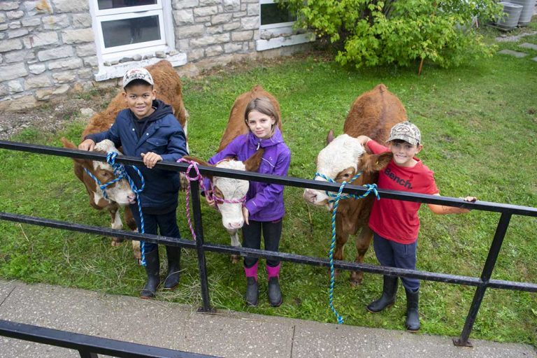 CMPS Fall Fair emanates excellent exhibition entries