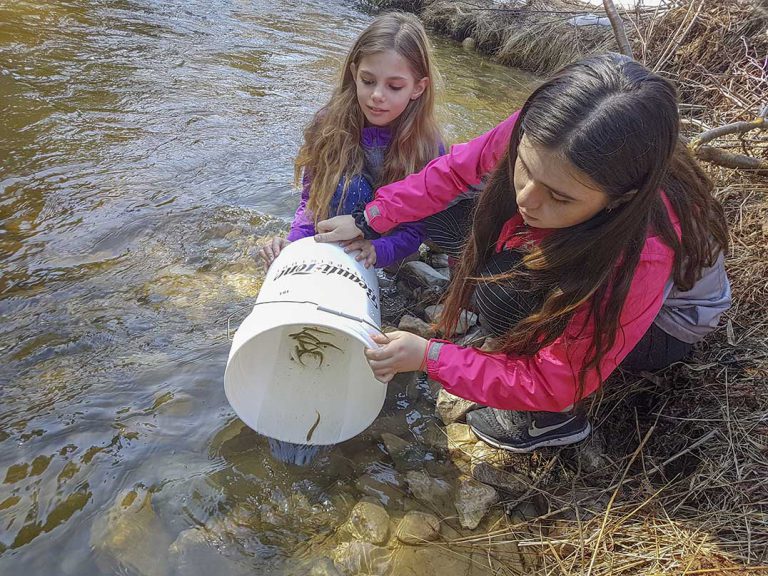 CMPS Fish Club releases Chinook salmon into Kagawong River
