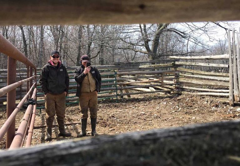 Beef farmer urges provincial support for tough times ahead