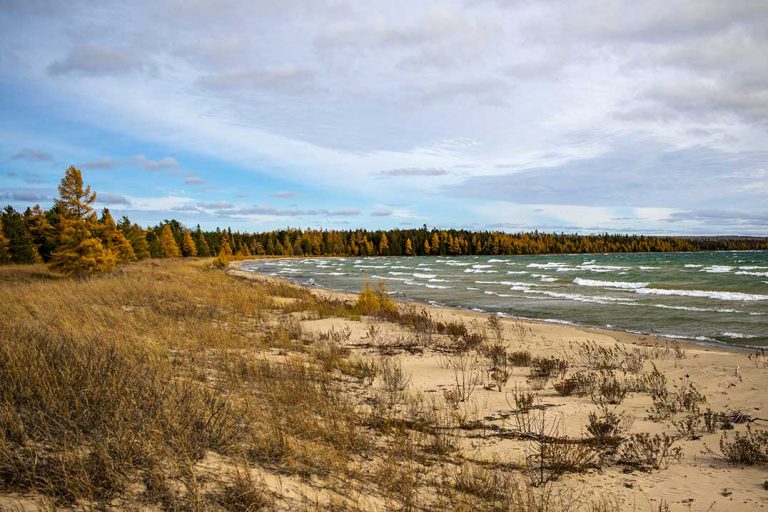NCC pushes to buy additional 1,400 acres of Cockburn Island