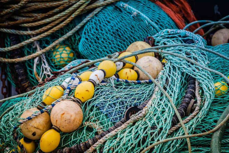 Great Lakes Fishery Commission pans proposal to establish marine parks