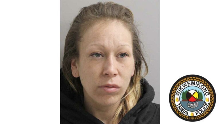 Press Release – WTPS Searching for Missing Person: Crystal Michelle LEWIS