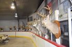 Deer-Show-deer-heads