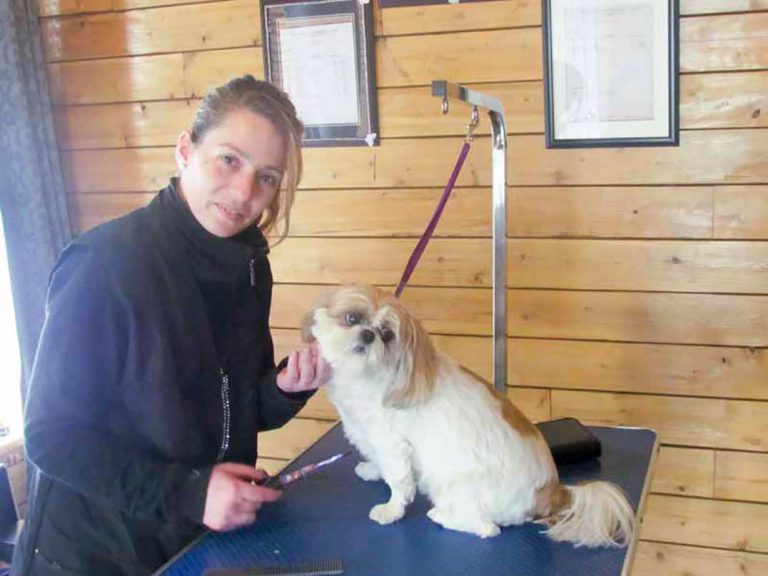 Cynthia’s Grooming open for business in Providence Bay