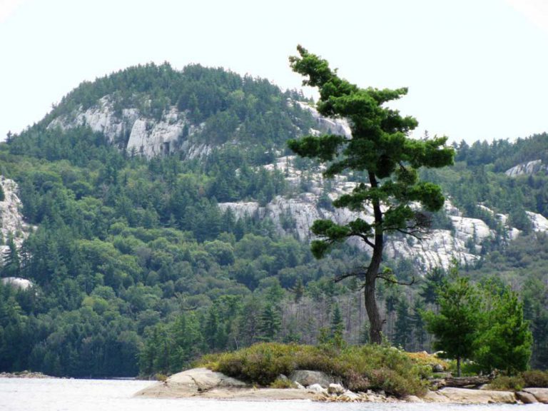 Group seeks to preserve Willisville Mt. for the public