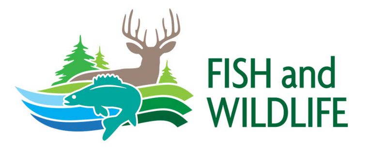 Ontario revamps outdoors card, licences