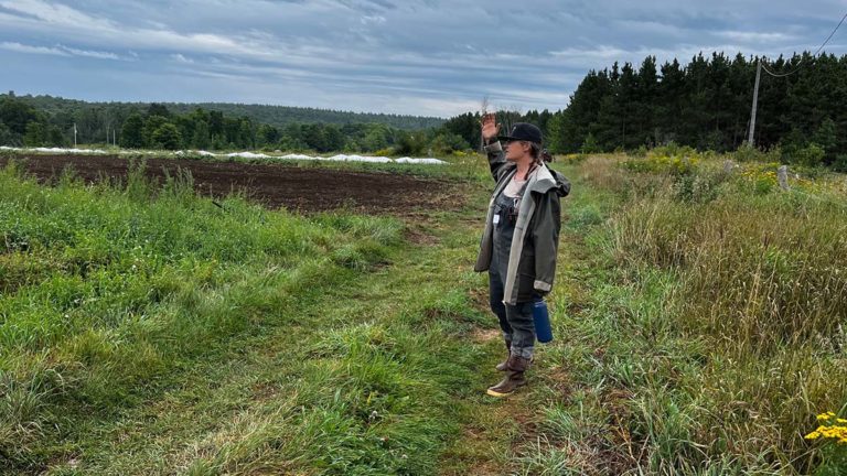 Ice Lake farms open doors and share best practices for ecological farm field day