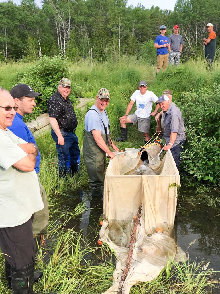 Little Current and District Fish and Game Club plant fingerlings on Island