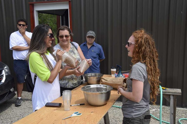 Heartwood Mushrooms hide a tasty treat beneath the kitchen sink