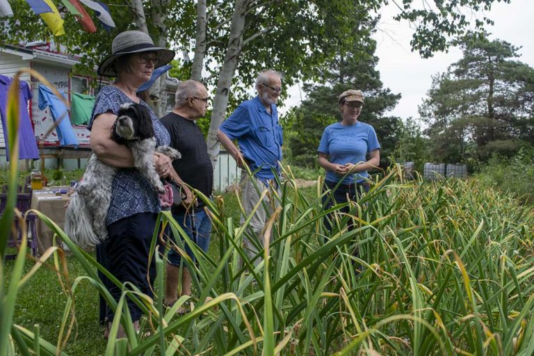 Productive, year-round gardening in a smaller space in Tehkummah