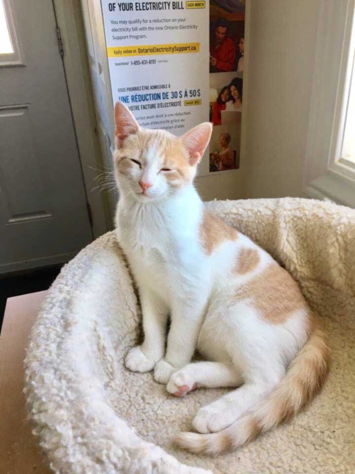 George is still looking for a home.