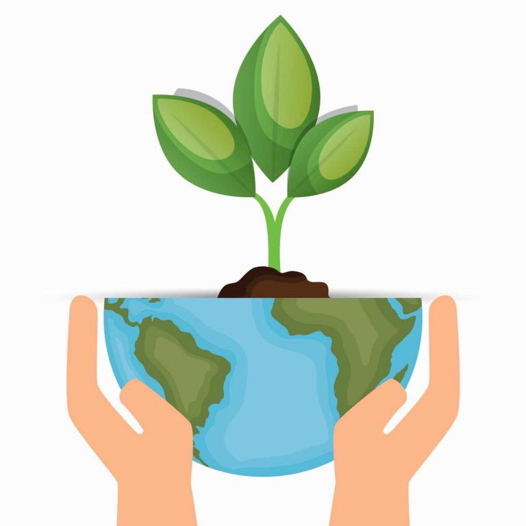 Billings to reform  Go Green committee  in new year