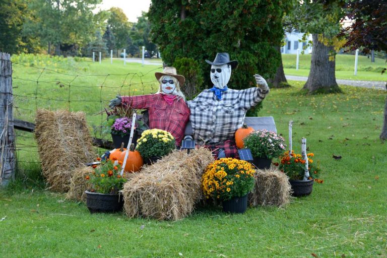 Harvest Glory Days winners announced!