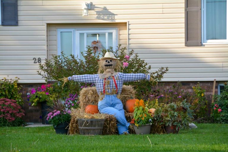 Harvest Glory Days decorating