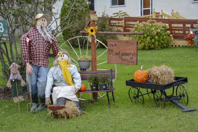 ???? Harvest Glory Days 2018 Gallery ????