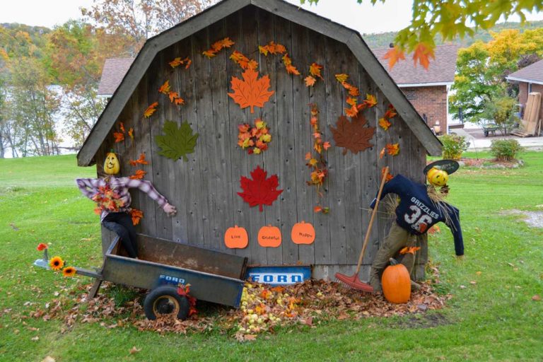 Harvest Glory Days 2020: Gallery