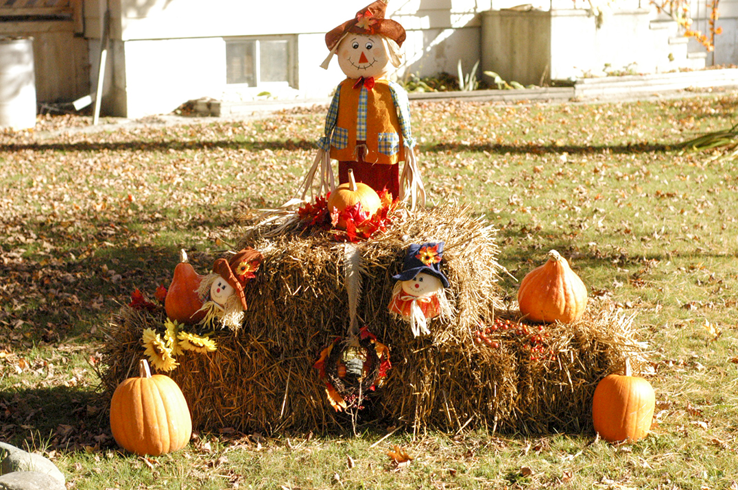 Harvest Glory Days on Manitoulin Island