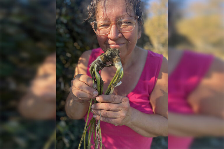 Harvesting Tradition: A Look at Pam Roy’s Homesteading Journey