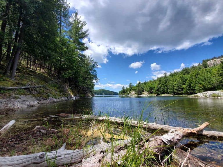 Ice Chips & Canoe Quips