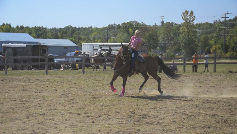 Assiginack Fall Fair Horse Show posted stellar results