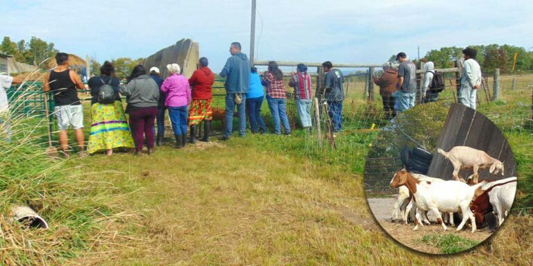 IAPO hosts farm tour on Manitoulin Island