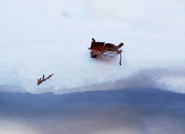 February ice storm damaging to Manitoulin residents and the environment