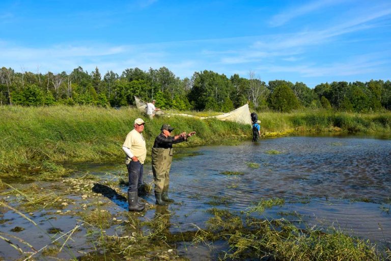 Little Current Fish and Game Club  introduces the 2021 fry harvest