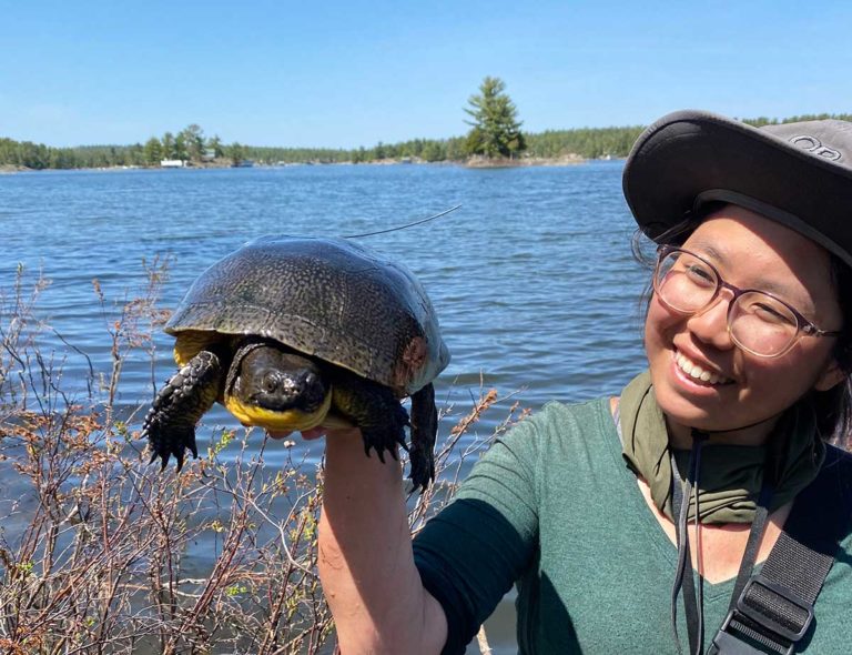 Hope for an Island-wide turtle conservation project